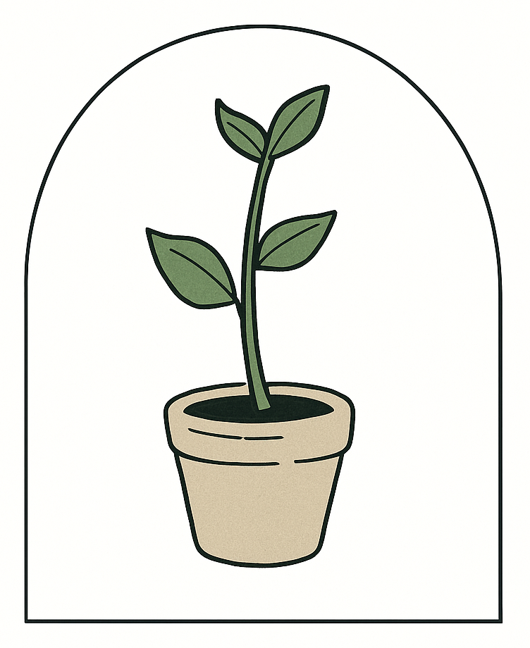 Plant illustration